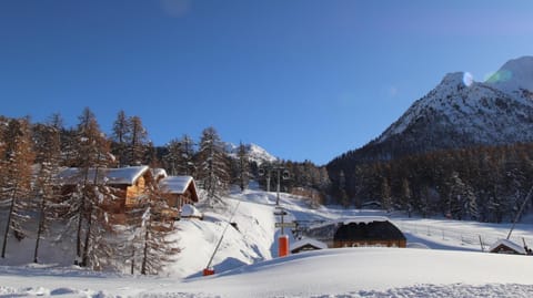 Day, Natural landscape, Winter, Garden, Skiing, Mountain view