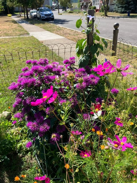 Garden, Garden view