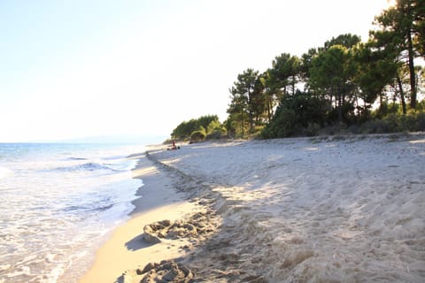 Natural landscape, Other, Beach