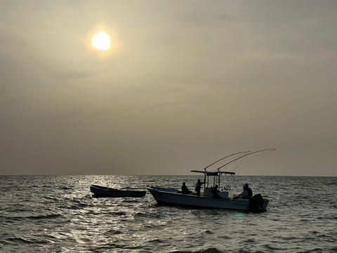 Activities, Fishing, Sea view, Sunset