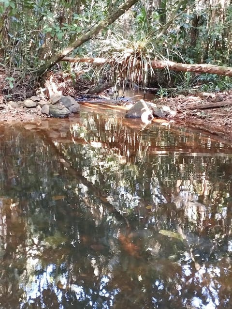 Natural landscape, Swimming pool