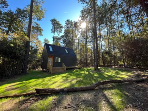 Stay in Babia - Luxury Cabins - Sam Houston National Forest Campground/ 
RV Resort in Lake Conroe