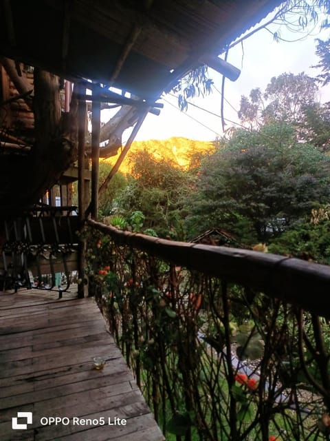 Cabaña en el Arbol Picasso Natur-Lodge in Bogota