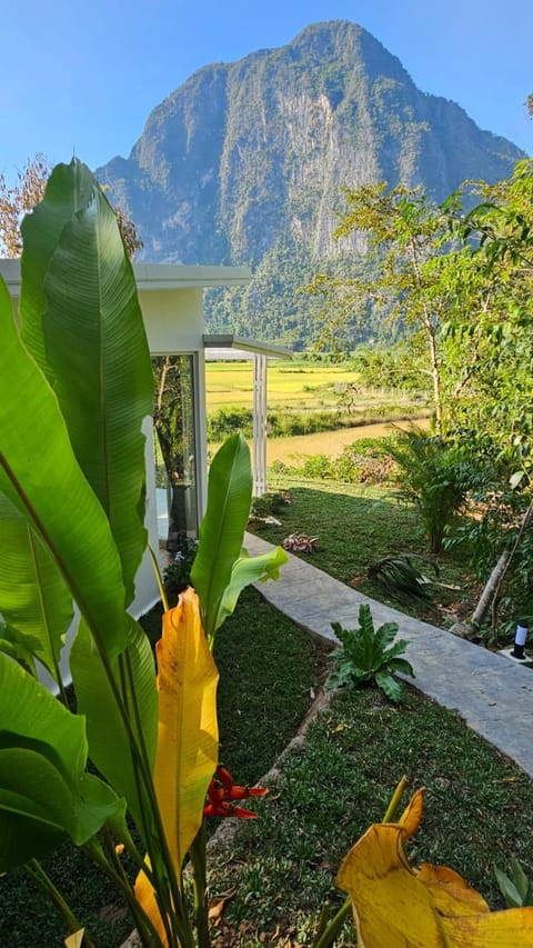 Natural landscape, Garden, Garden view, Mountain view