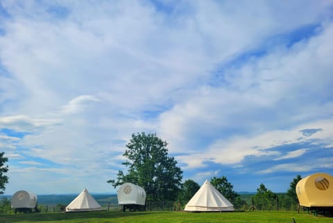Carul cu Stele-Glamping Luxury tent in Timiș County