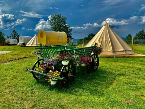 Carul cu Stele-Glamping Luxury tent in Timiș County