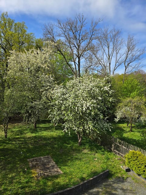 Spring, Garden, Garden, Garden view