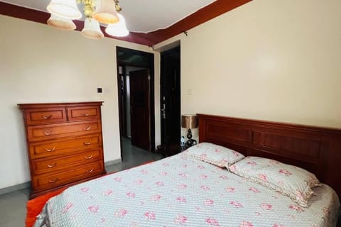 Comfy Home near Acacia Mall Apartment in Kampala