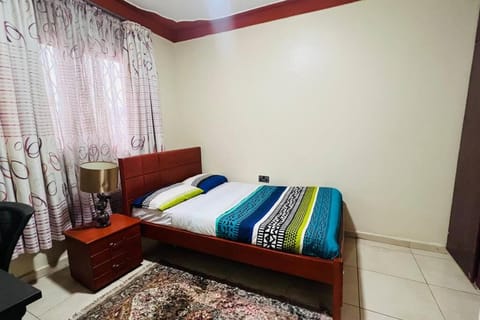 Comfy Home near Acacia Mall Apartment in Kampala