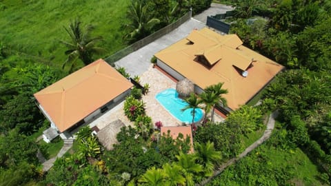 Natural landscape, Bird's eye view, Garden view, Pool view