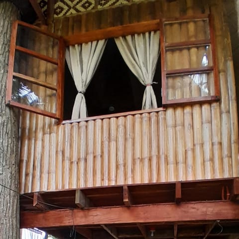 Dumaguete Oasis Treehouse Country House in Dumaguete