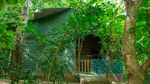 Property building, Natural landscape, Garden, Garden view