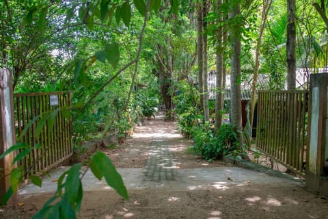 Natural landscape, Garden view