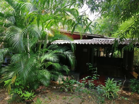 Silent Bungalow Vacation rental in Southern Province