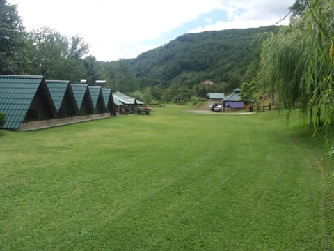 Camping Drina Campingplatz /
Wohnmobil-Resort in Montenegro