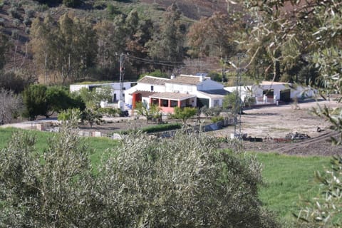 Property building, Bird's eye view