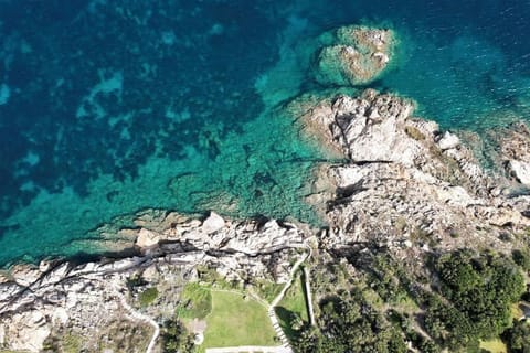 Villa Mare Blu - Porto Rotondo Villa in Porto Rotondo