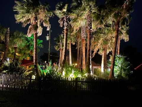 Casa de Palmeras Haus in Sea Isle