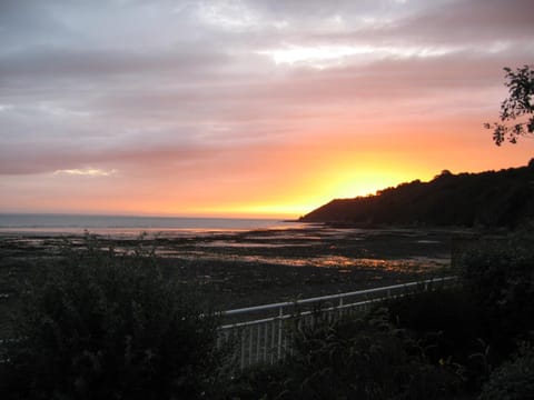 Natural landscape, Beach, Sunset