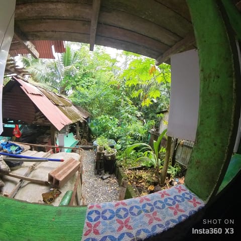 Patio, Day, Garden, Garden view