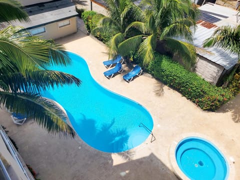 Garden, Garden view, Swimming pool