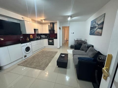 TV and multimedia, Kitchen or kitchenette, Living room, Seating area, minibar, pet friendly, stove, washing machine, dryer