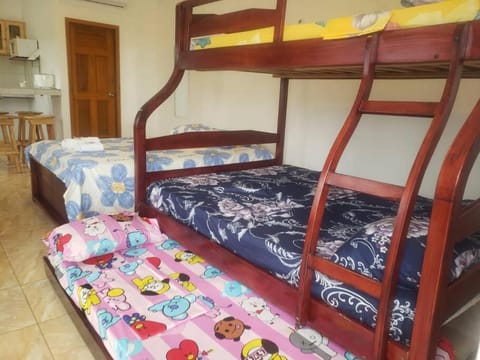 Bed, Photo of the whole room, bunk bed