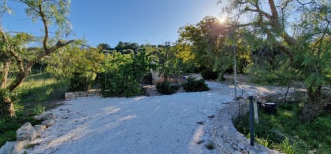 Trullo Grande Noce Casa in Province of Taranto