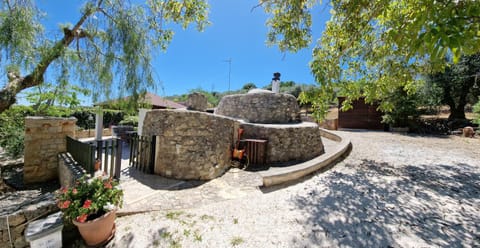 Trullo Grande Noce Casa in Province of Taranto