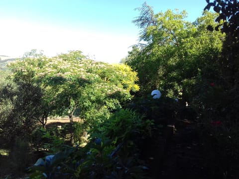 Garden, Area and facilities