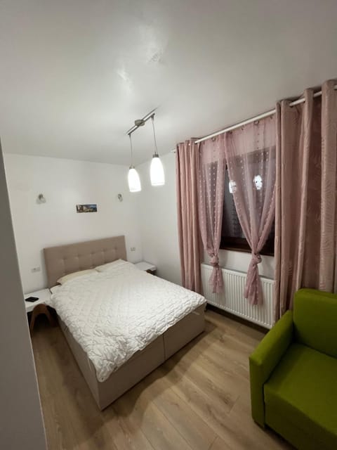 Pensiunea Sarah - Muntele Mic Bed and Breakfast in Timiș County