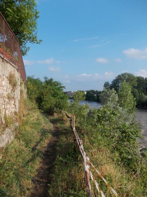 Natural landscape, On site