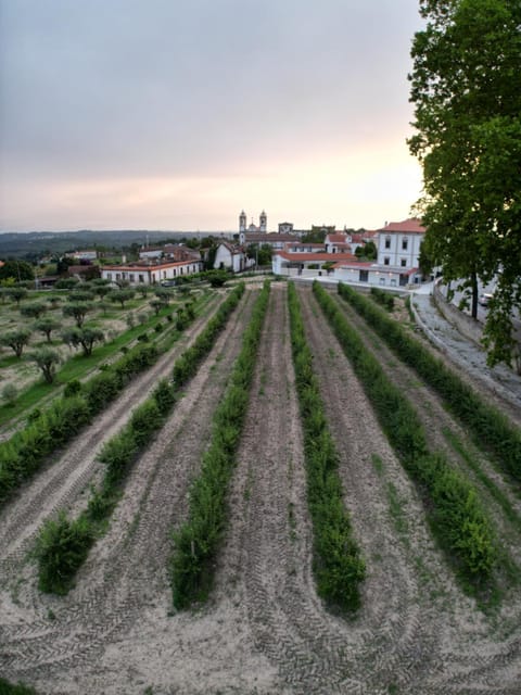 Day, Natural landscape, Garden view, Sunset