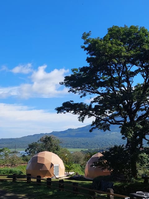 Day, Natural landscape, View (from property/room), Garden view, Mountain view