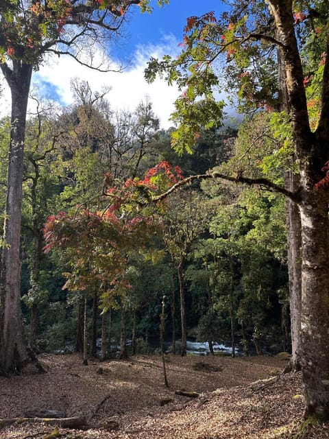 Entre Árboles Lodge Chalet in Cartago Province, Costa Rica