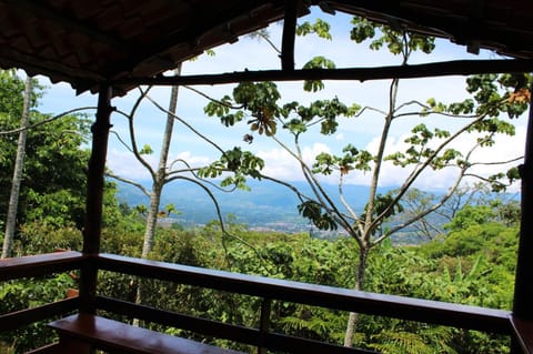 Property building, Garden view, Mountain view