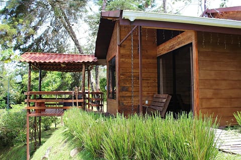 Patio, Day, Garden, Garden view