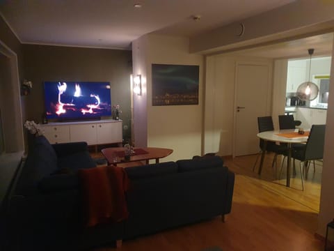 Top Apartment Condo in Tromso