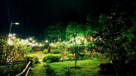 Night, Natural landscape, Garden, On site