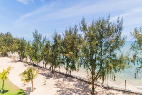 Beach, Sea view