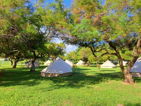 Bearsu Nature Almoxarife Campground/ 
RV Resort in Azores District