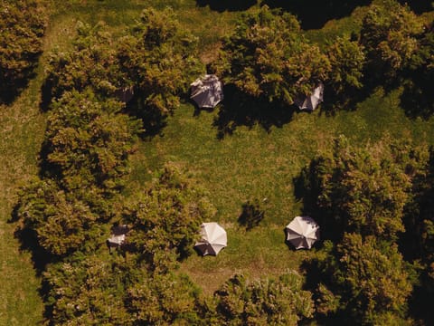 Bearsu Nature Almoxarife Campground/ 
RV Resort in Azores District