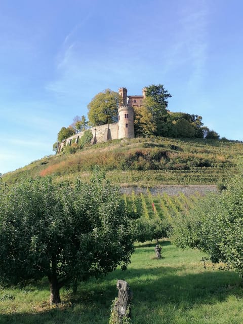 Nearby landmark, Natural landscape