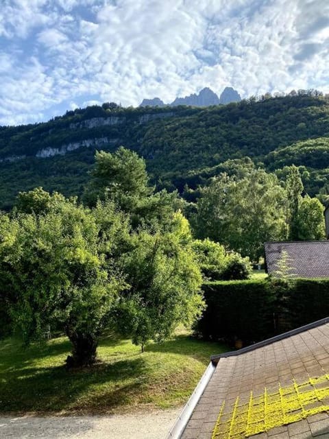 Garden, Mountain view