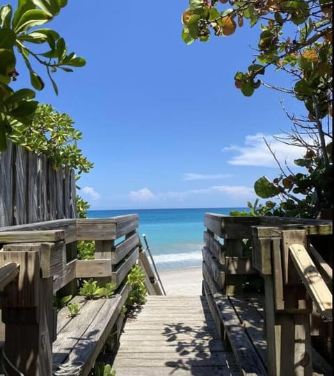 Beach, Sea view