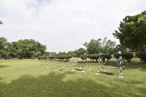 Children play ground, children