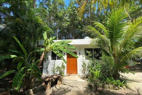 Cozumel Island - Cozy & Romantic Jungle Bungalow - WIFI/Netflix Condo in San Miguel de Cozumel