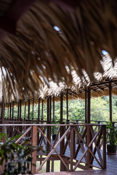 Manati Lodge Luxury tent in State of Amazonas
