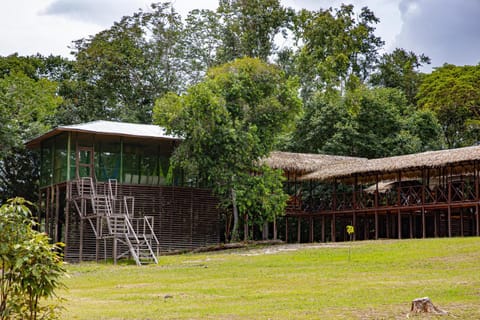 Manati Lodge Luxury tent in State of Amazonas