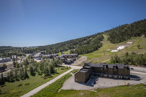 Property building, Skiing, Mountain view, Parking